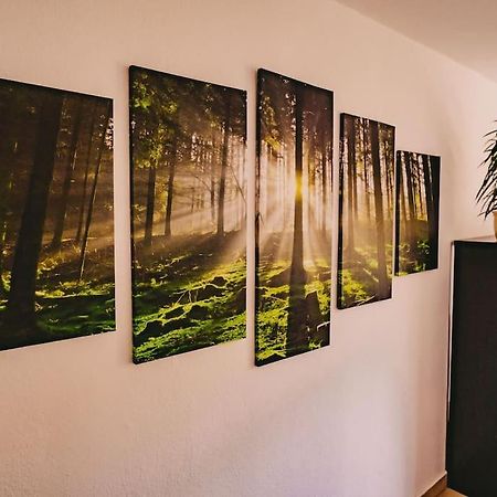 Franzis Feriendomizil im Herzgebirge am Skihang Auerbach  Exterior foto