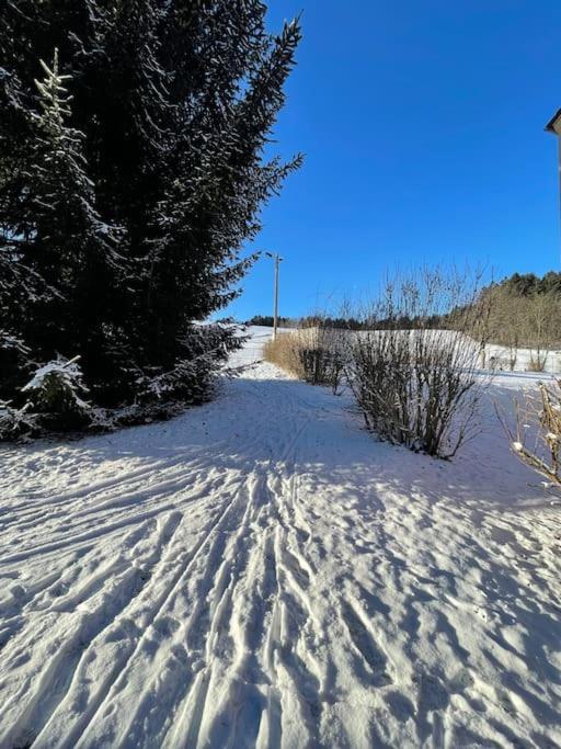 Franzis Feriendomizil im Herzgebirge am Skihang Auerbach  Exterior foto