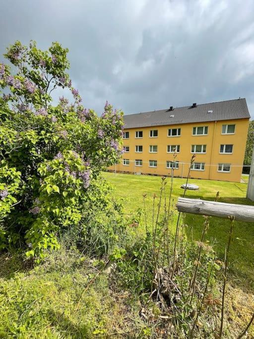Franzis Feriendomizil im Herzgebirge am Skihang Auerbach  Exterior foto