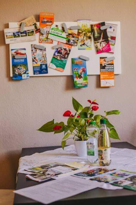 Franzis Feriendomizil im Herzgebirge am Skihang Auerbach  Exterior foto