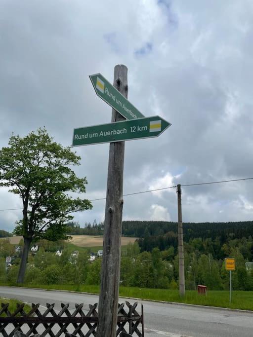 Franzis Feriendomizil im Herzgebirge am Skihang Auerbach  Exterior foto